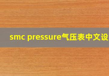 smc pressure气压表中文设置